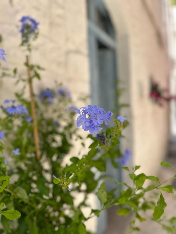 Bianco Calce - Ostuni Villa Dış mekan fotoğraf